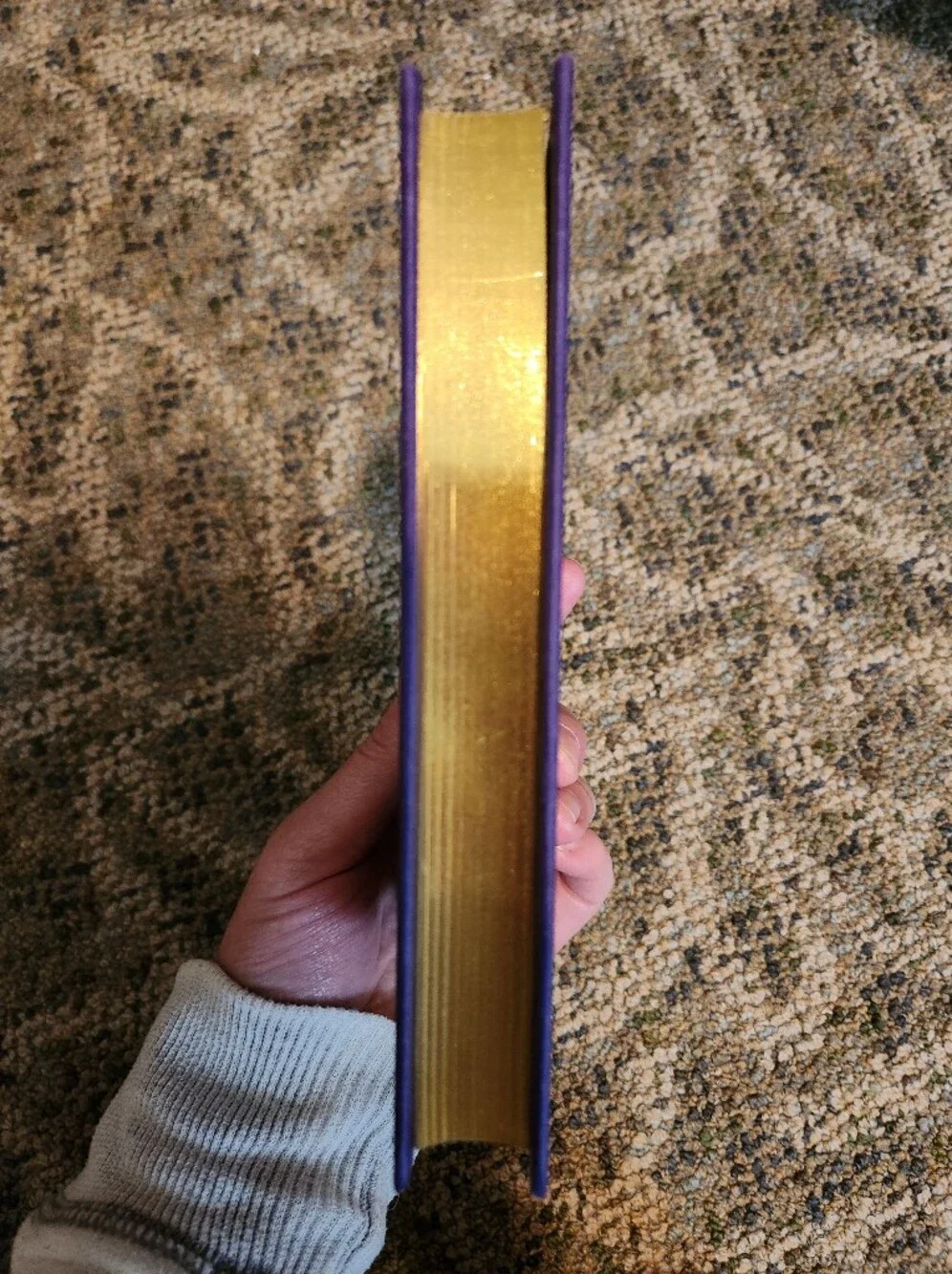 Pride and Prejudice Purple Hardcover with Gold Foil Pages - Picture 4 of 5